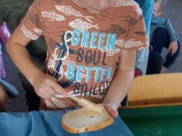 b_1024_768_0_00_images_2023_2024_Swietlica_Dzien_chleba_391704243_792096179384999_5448852011917714631_n